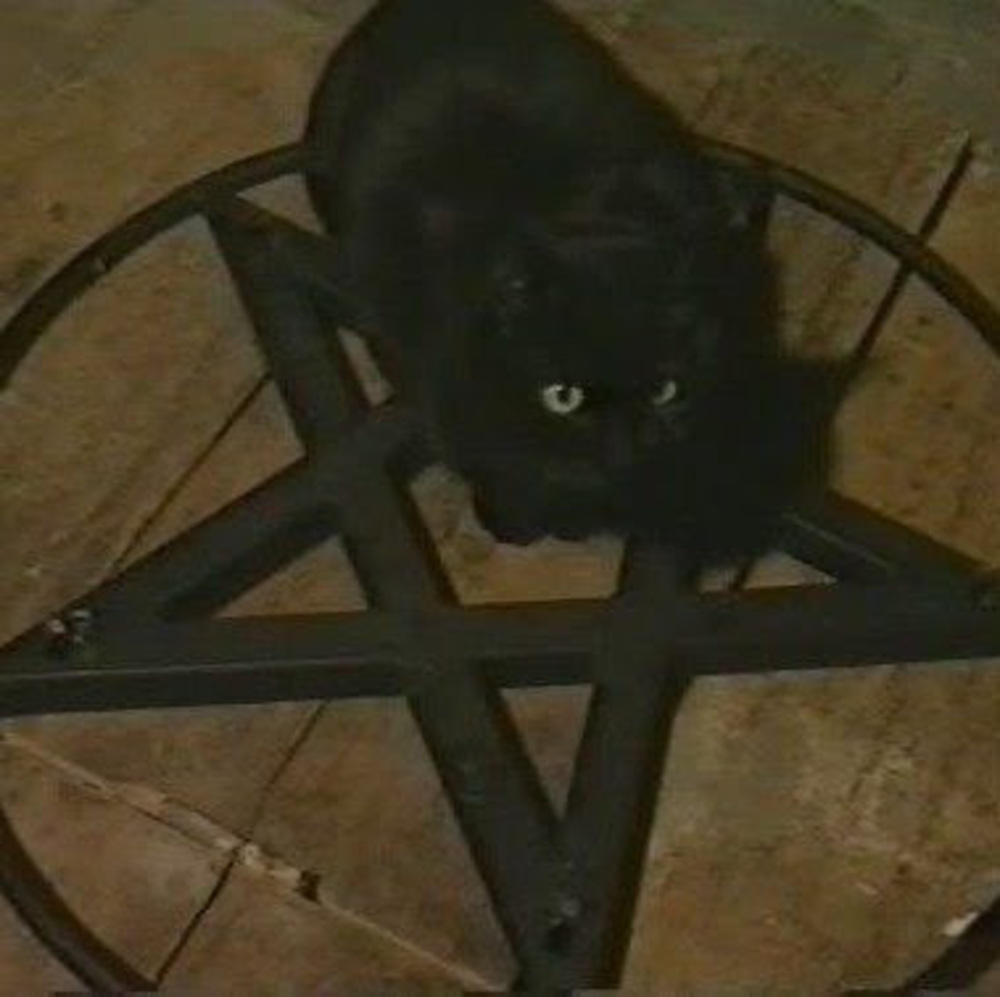 Meet your Posher, Lucifer